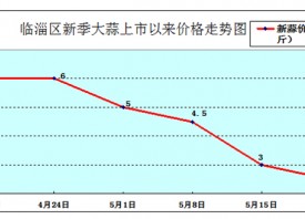 淄博：大蒜价格持续大幅回落 ()