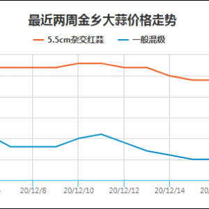 12月22日苍山大蒜价格行情平稳