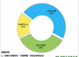 山东省大蒜企业注册位居前茅 ()