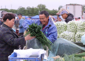 新发地市场：蔬菜供应量足价跌 ()