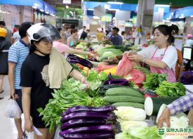 儋州：台风影响本外地蔬菜集体涨价 ()