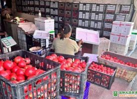 济南：强降雨助推蔬菜成本上涨