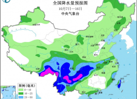 大蒜秋播持续 气温略有起伏 ()