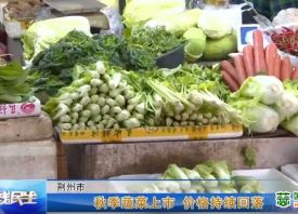 荆州：秋菜上市 价格下跌 ()