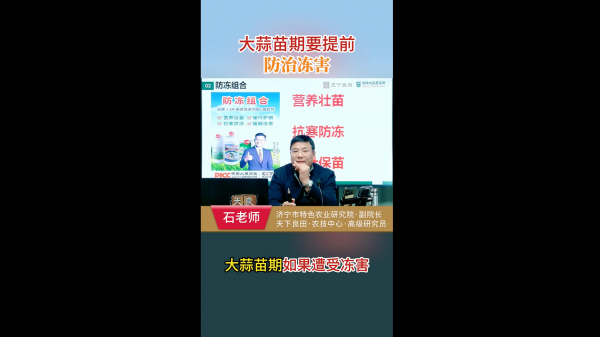 大蒜苗期要提前防治冻害 ()