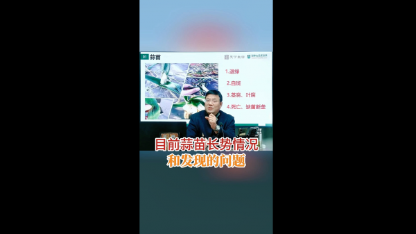 目前蒜苗长势情况和发现的问题 ()